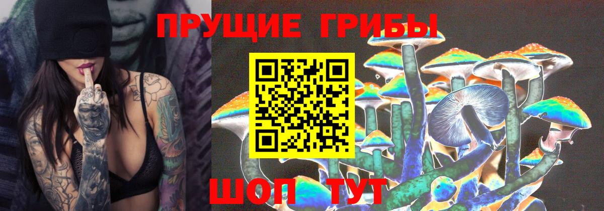 Сергиев Посад  Галлюциногенные грибы ЛСД  Вход с VPN  Псилоцибиновые грибы прущие грибы 